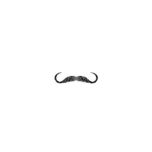 Moustache. Album by Notfallstartdiskette. NFSD 2008.